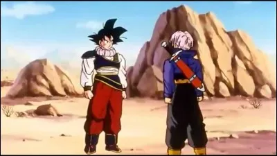 Lorsque Goku affronte Trunks Futur, pour qu'il voit son niveau de combat, Goku se transforme en...