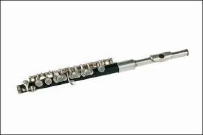 Comment s'appelle cet instrument ?