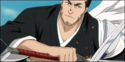 Quel métier exerce Isshin Kurosaki ?