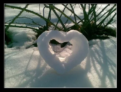 Il chantait : "J'apprendrai le froid des phrases, j'apprendrai le chaud des mots, je jure de n'être plus sage, je promets d'être sot...
