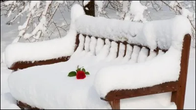 Qui chantait : "J'ai mes compagnons de flipper, et quand il fait trop froid dehors, je vais chez les p'tites soeurs des coeurs, la solitude, ça n'existe pas..." ?