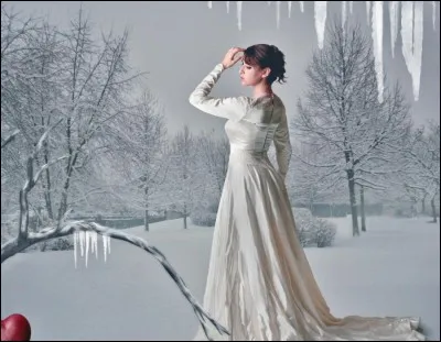 Qui était l'interprète féminine de ce beau duo "J'ai fait son lit contre ma peau pour qu'elle soit bien, bien à l'abri et bien au chaud, entre mes mains. Habillée d'une voile brume et de rosée, je suis la longue dame brune de ta pensée..." ?