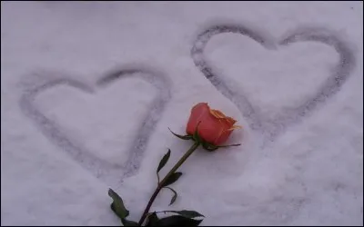 Sa chanson était : "Avec l'envie la force et le courage, le froid la peur ne sont que des mirages. Laissez tomber les malheurs pour une fois, allez venez, reprenez avec moi, Oh toi plus moi...."