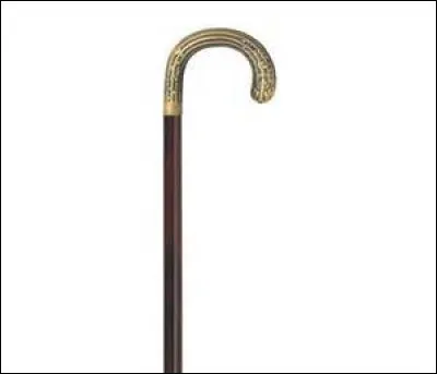 Qu'est-ce qu'une manifestation d'aveugles ?