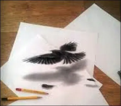 Regarde l'image ci-dessus.
Qu'est-ce que tu trouves poétique ?