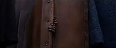 Quels animaux s'échappent de la valise ?