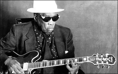 Ce chanteur de Blues né dans une famille pauvre du Mississippi est notamment connu pour "Boom boom". De qui s'agit-il ?