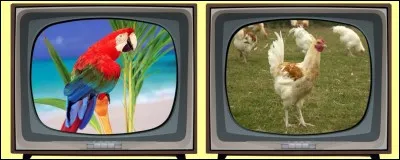 Qui est "Pouic Pouic" dans le film joué par Louis de Funès en 1963 ? Éteignez la mauvaise télévision !