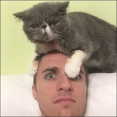 Quels sont les noms des chats de Squeezie ?