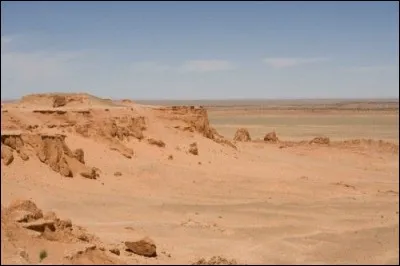 Sa découverte a été faite dans un lieu qu'il baptisa "falaises flamboyantes". C'est aussi sur ce lieu que Chapman et son équipe trouvèrent des fossiles de dinosaures encore inconnus à l'époque comme...