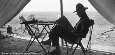 Selon certaines rumeurs, Roy Chapman Andrews serait à l'origine du personnage de...