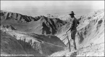 En 1923, il est le premier dans le monde à découvrir...