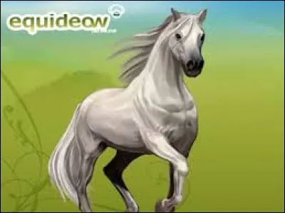 En quelle année fut créé le jeu "Equideow" ?