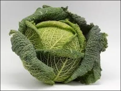 Le chou est-il un fruit ?