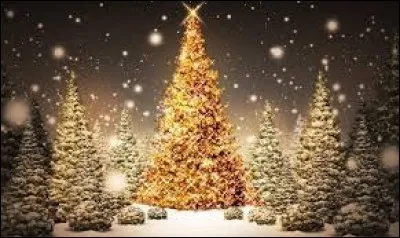 Décorations de Noël fétiche :