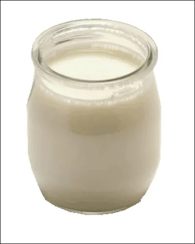 J'ai mangé un _____.