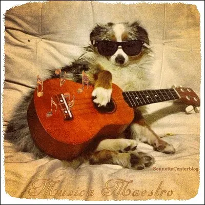 Il chantait "On a fêté nos retrouvailles, ça m'fait de la peine mais il faut que je m'en aille" :