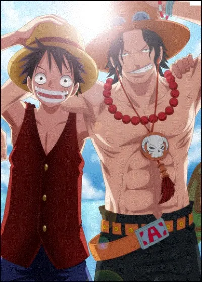 Ace et Luffy sont-ils des vrais frères ?