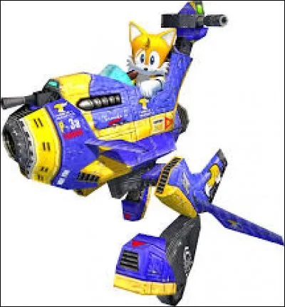 Comment s'appelle le vaisseau de Tails ?