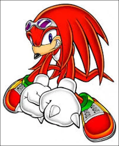 Qu'a fait Knuckles quand Dr.Eggman a volé la Master Emerald ?