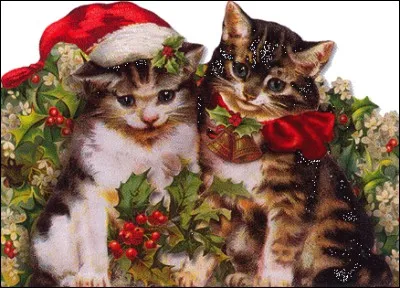 Qu'y a-t-il devant les pattes de ces chats ?