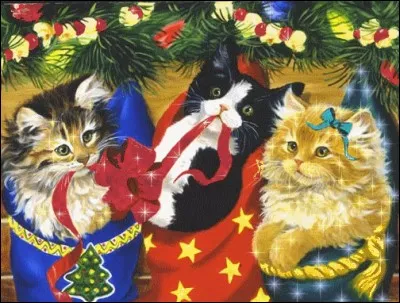 Un chat porte un nud sur la tête. Où est-il ?