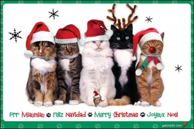 Combien d'animaux portent un bonnet de Noël ?