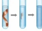 Quiz Vrai ou faux - Tests caractristiques des ions