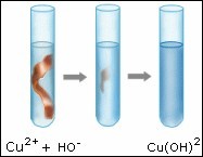 Quiz Physique