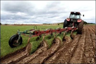 En août, c'est le 15 qui est férié. On y célèbre l'Assomption de la Vierge Marie, autrement dit sa montée au ciel directe après la fin de sa vie terrestre. À propos de ce jour, complétez le proverbe : Avant la Bonne-Dame, tu peux labourer quand tu veux, après la Bonne-Dame, tu laboures...