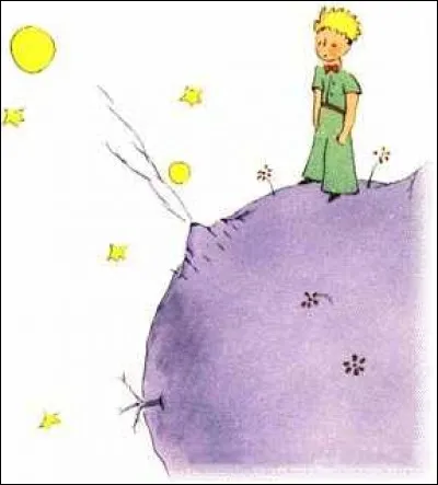 C'est un film d'animation dans lequel un vieil aviateur fantasque rencontre un petit bonhomme venu de la minuscule planète B612 dans le désert du Sahara. Voici :