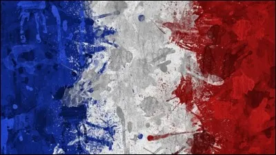 Quel film français a décroché le plus gros succès ?