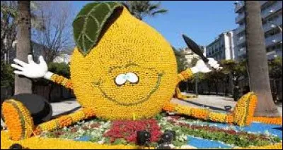 Dans quelle commune française la fête du citron est-elle organisée ?