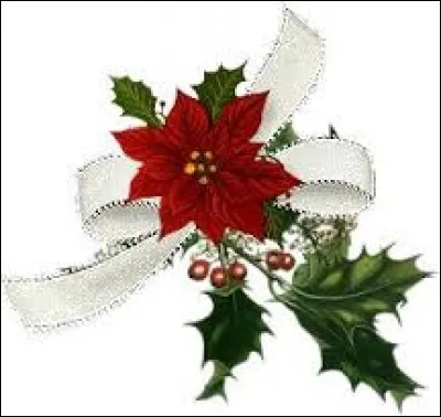 Informatique. Réseau local sans fil :