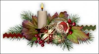 Grand oiseau palmipède de l'Arctique aussi appelé "grand labbe" :