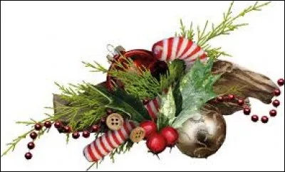 Dossier contenant une sélection de photos, utilisé comme curriculum vitae, pour un photographe ou un mannequin :