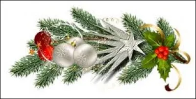 Au judo, plus petit avantage lors d'une compétition :