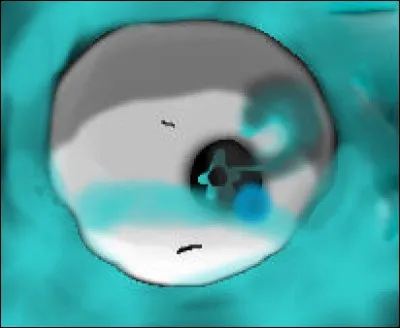 Quels sont leurs noms ?