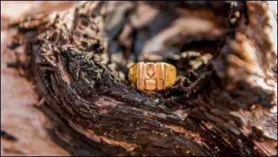 Qui a remporté l'anneau d'or ?