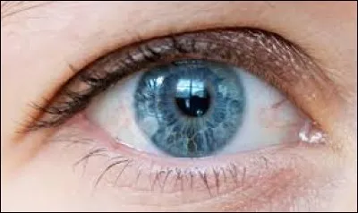 En effet, ils contiennent maintenant de la pollution et peuvent infecter votre __.