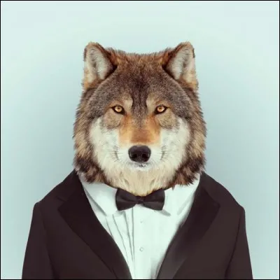 Lequel de ces animaux n'a pas de pattes ?