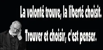 Cette citation : "Le Thénardier était un homme petit, maigre, blême, anguleux, osseux, chétif, qui avait l'air malade et qui se portait à merveille sa fourberie commençait là.", se trouve dans le livre "Les Misérables" de Victor Hugo.