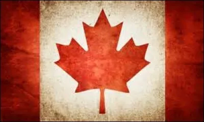 Le drapeau ci-dessus est le drapeau du Canada.
