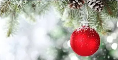 On en arrive aux plats.
Traditionnellement à Noël, on fourre...