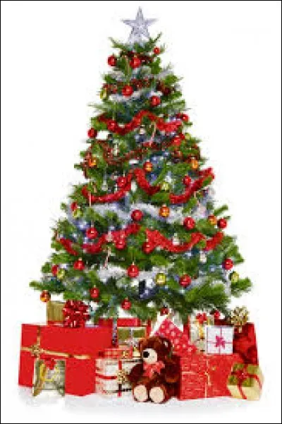 Quel arbre est décoré lors de la fête de Noël ?