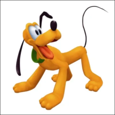 Comment le chien s'appelle-t-il ?