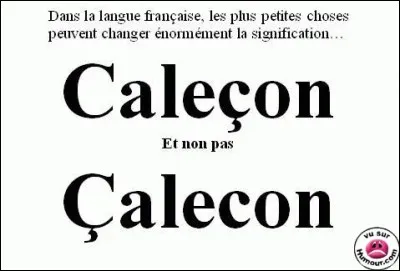 Panthère, tue-mouches ou phalloïde !