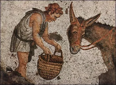 Sous quel nom est connu ce roman intitulé « L'âne d'or » écrit par Apulée au IIe siècle ?