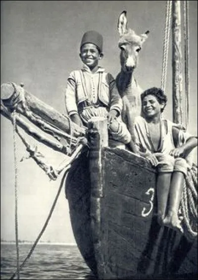 Comment s'appelle le petit âne de Jacques Prévert ?