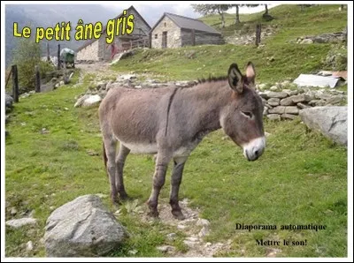 « Le petit âne gris » est une chanson présente sur l'album « Adieu Monsieur le Professeur ». Qui chantait cette histoire populaire provençale ?